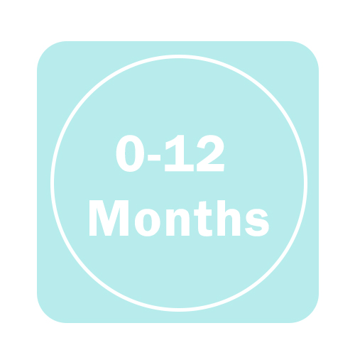 0 - 12  Months